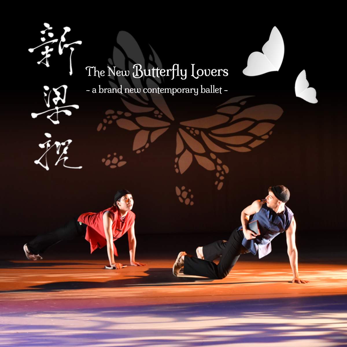 The New Butterfly Lovers - image
