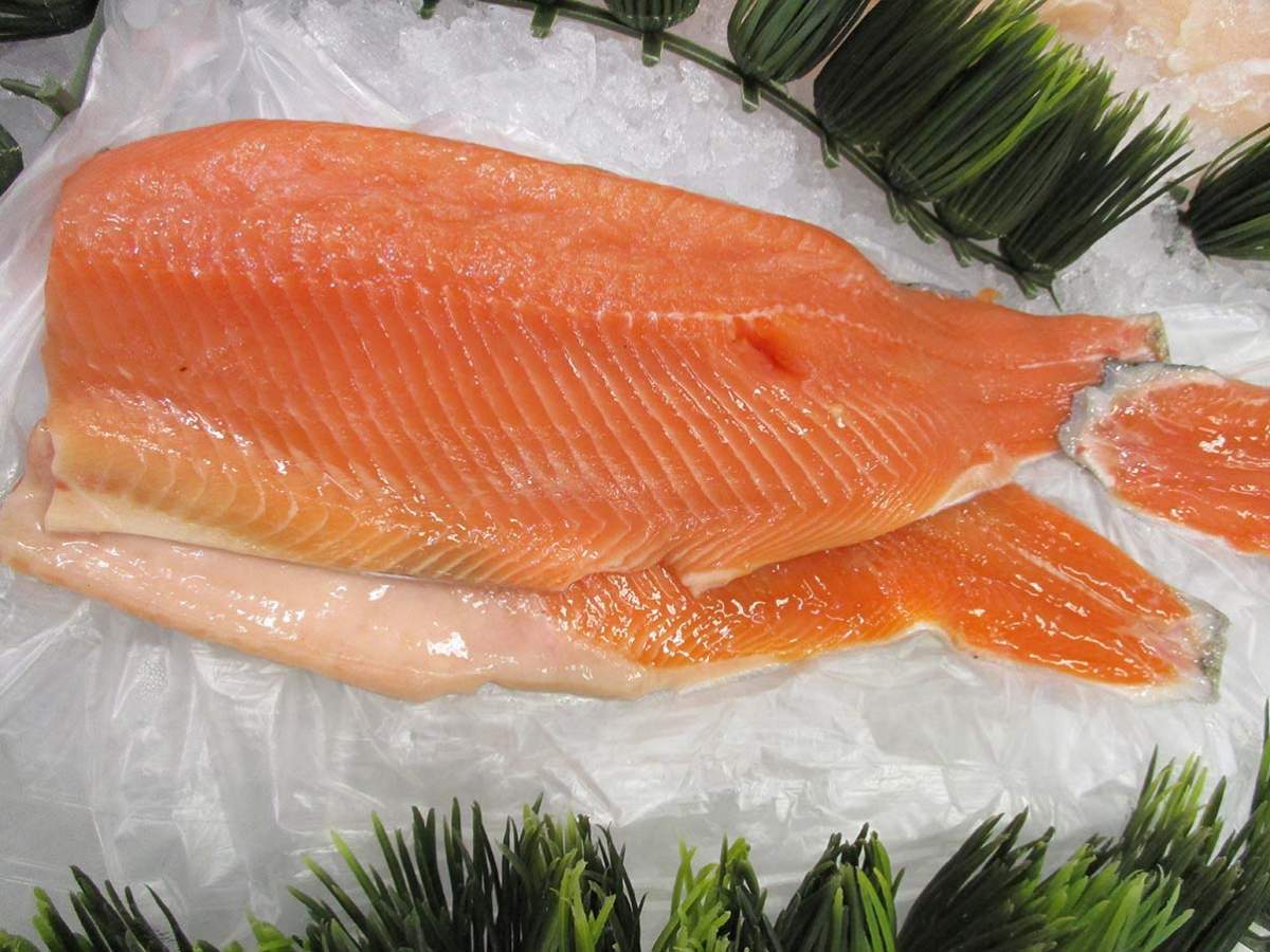 Fish Filleting Workshop with Terry Point - image