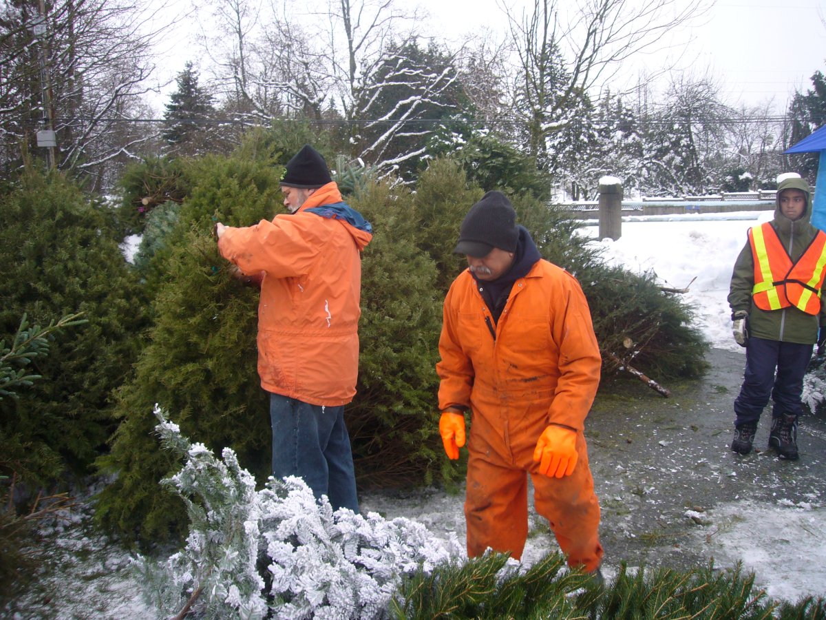 CHARITY CHRISTMAS TREE CHIPPING AND BOTTLE DRIVE FUNDRAISER - image