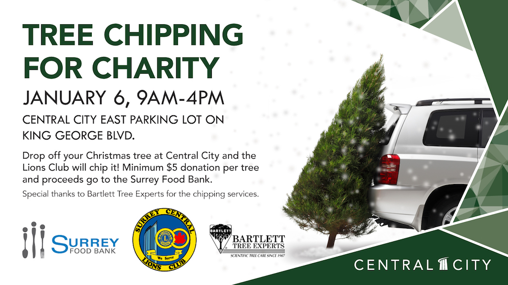 Tree Chipping for Charity - image