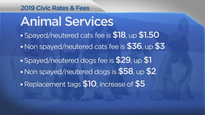Happy New Year: A look at Saskatoon’s civic rates and fees heading into 2019 - image