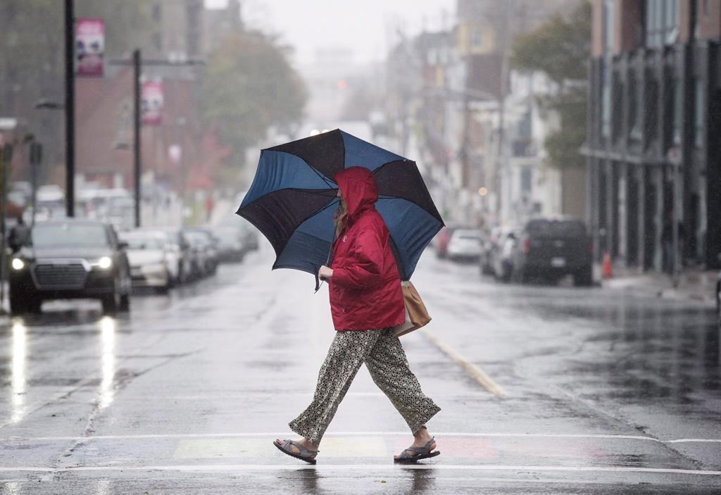 A pedestrian shields herself from the rain with an umbrella while walking downtown in Halifax on Monday, October 30, 2017.