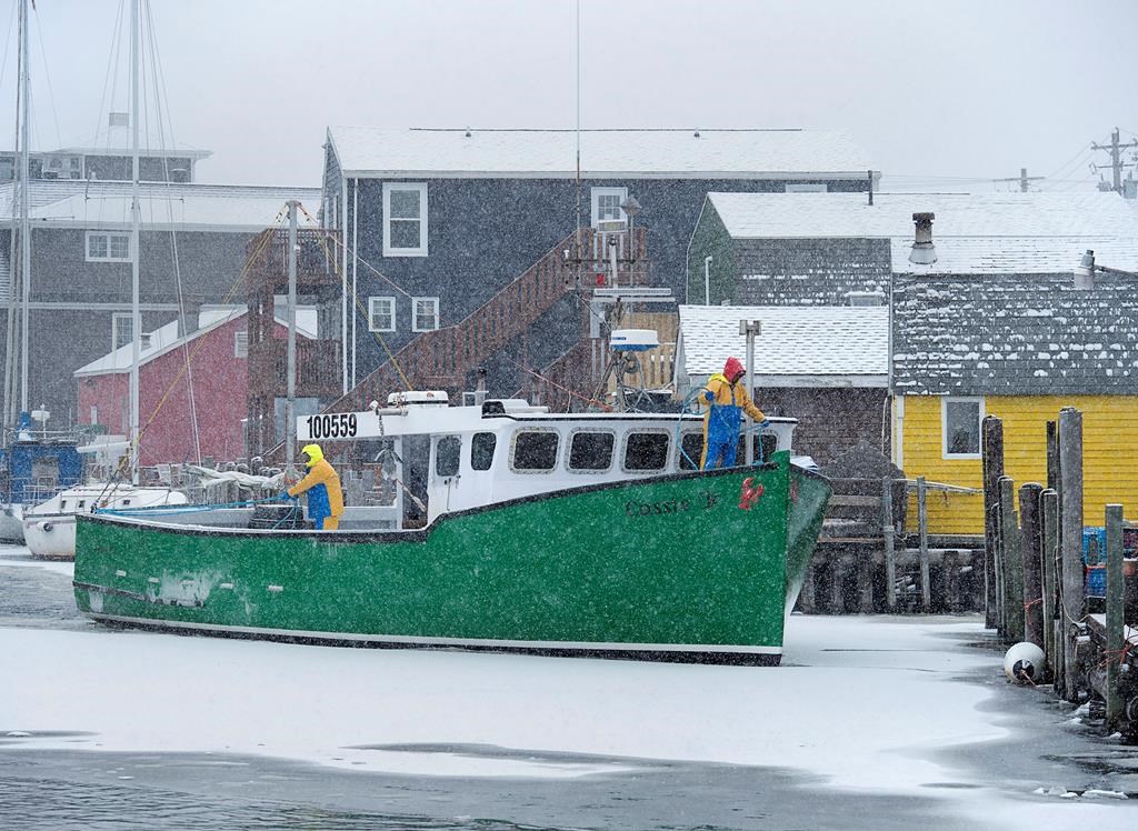The lobster fishing boat Cassie R heads to the dock in Eastern Passage, N.S. in a light snowfall on Friday, Dec. 28, 2018.