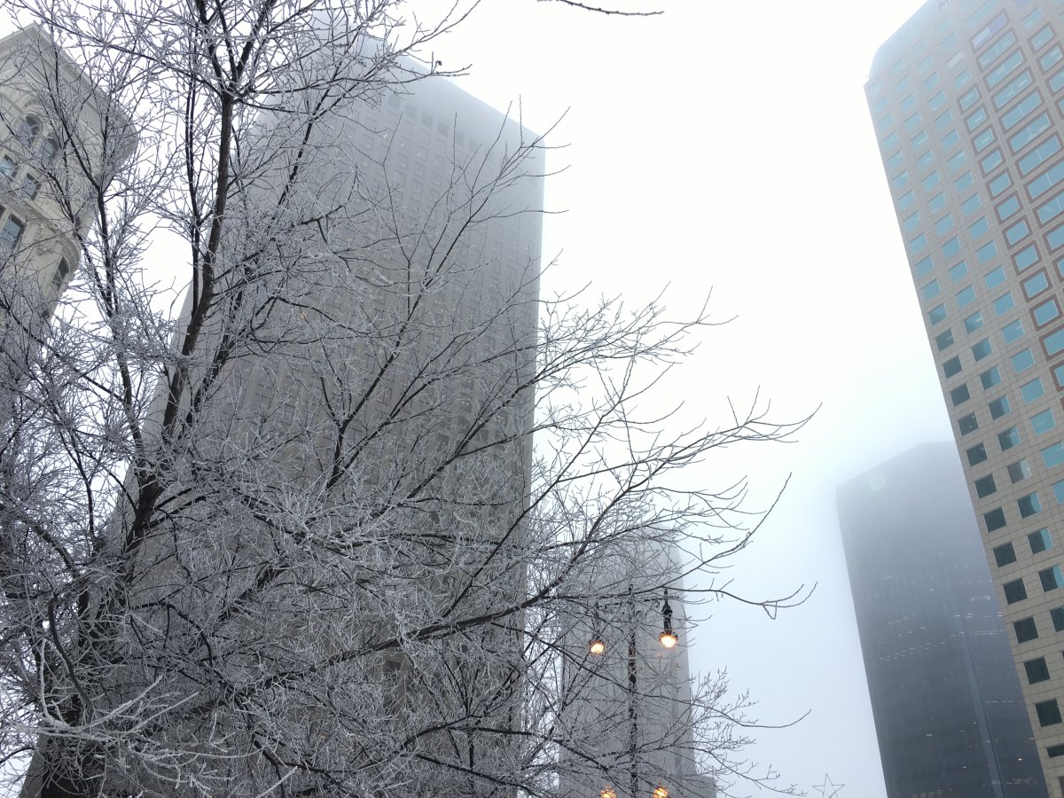 Frost and fog around downtown Winnipeg Wednesday morning.