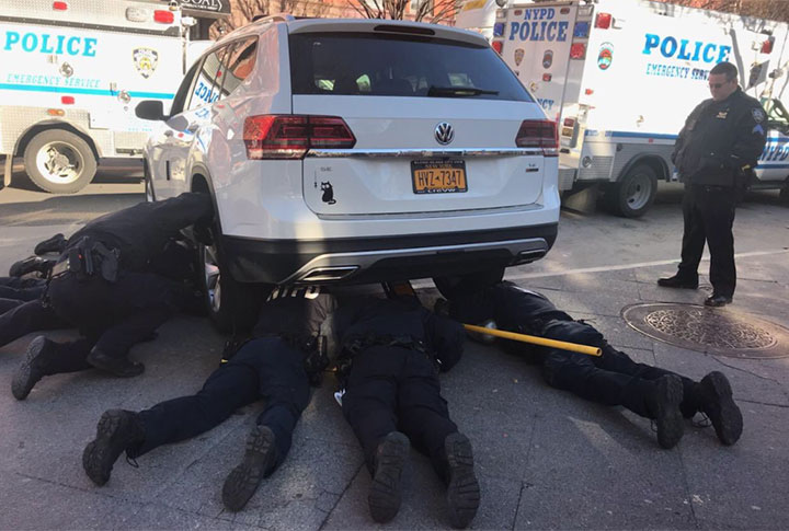 Police officer adopts kitten rescued from car engine in New York