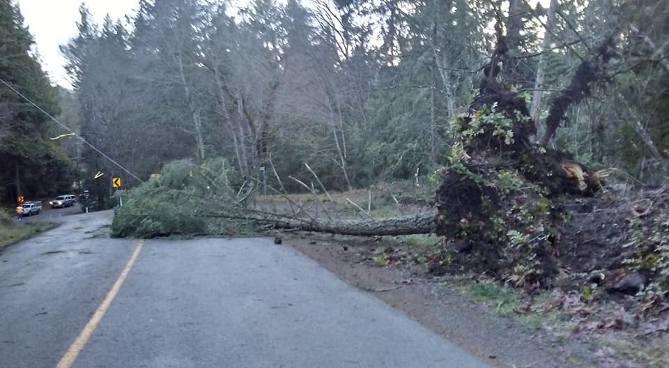 Damage on Pender Island. Taken Thursday, Dec. 20. Melody Pender / Pender Island Forum