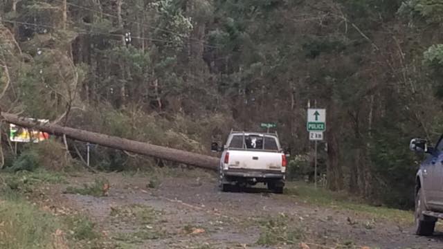 Damage on Pender Island. Taken Thursday, Dec. 20. Melody Pender / Pender Island Forum