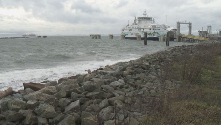 More Than 260,000 Without Power As Windstorm Hits B.C.’s South Coast ...