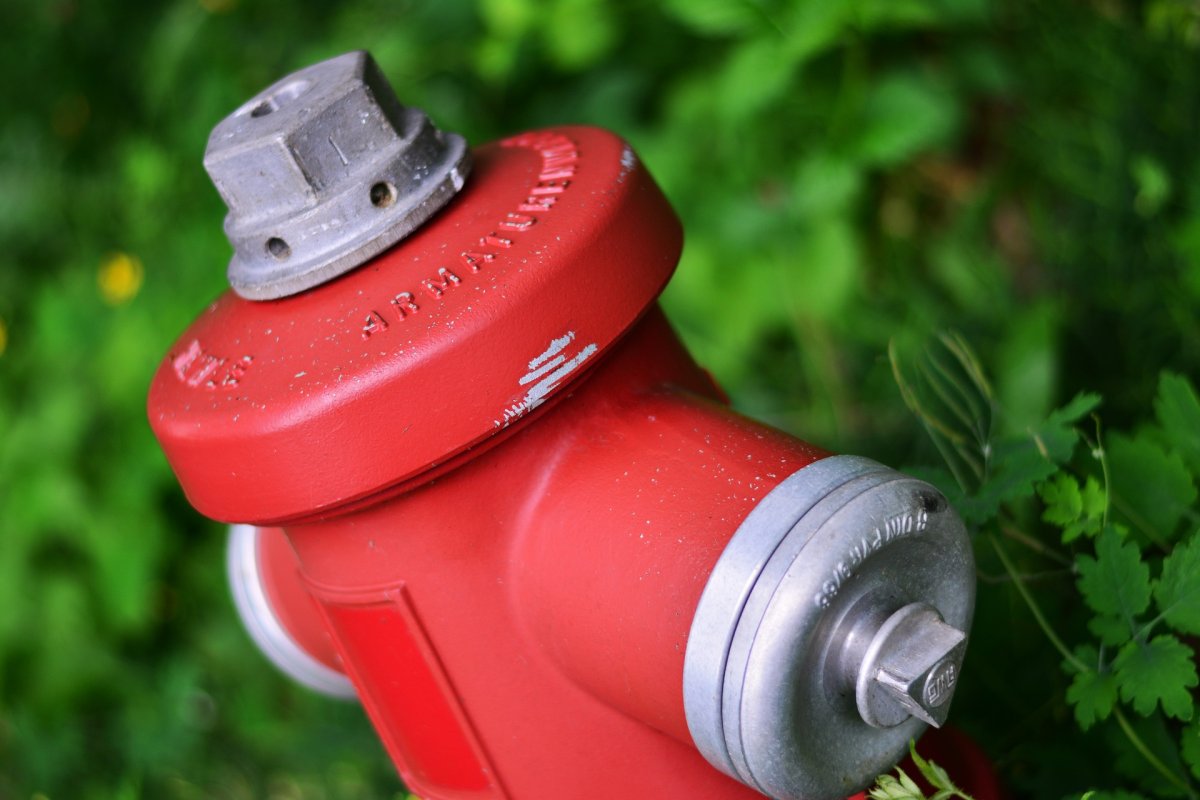 A fire hydrant was among the items stolen.