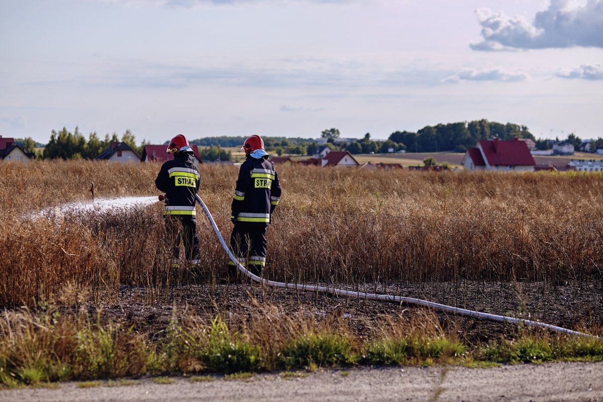Firefighters battle a grass fire.