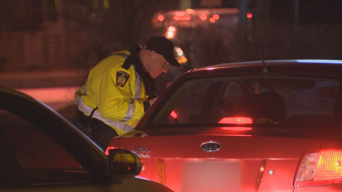 A Winnipeg police officer performs a check stop.
