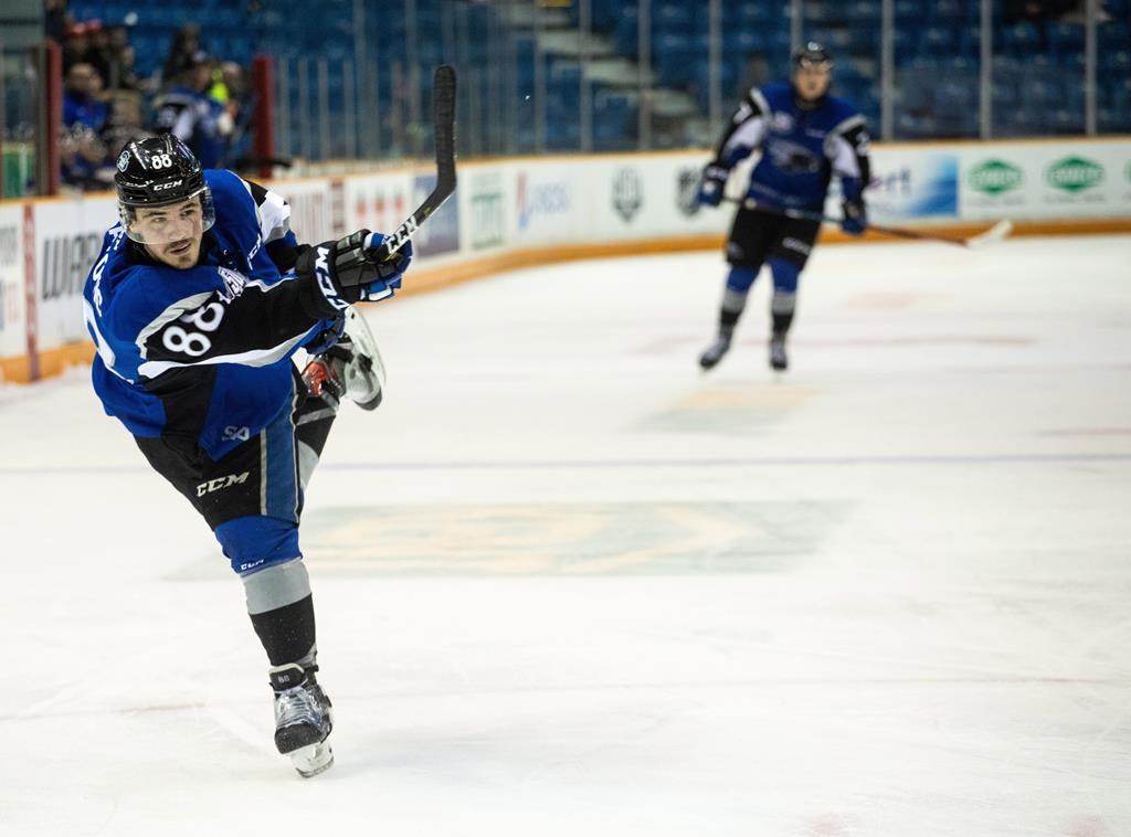 The Saint John Sea Dogs have suspended team activities.