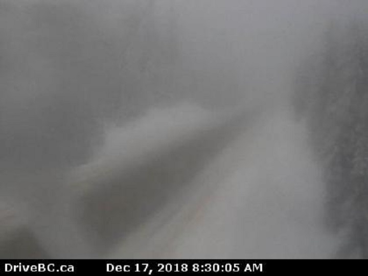 Environment Canada has issued a snowfall warning of 25 to 30 centimetres for Paulson Summit to Kootenay Pass. 