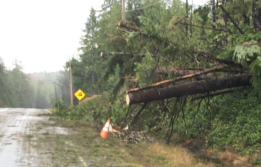 Crews work Sunday to clean up after powerful winds hit Haida Gwaii, B.C.