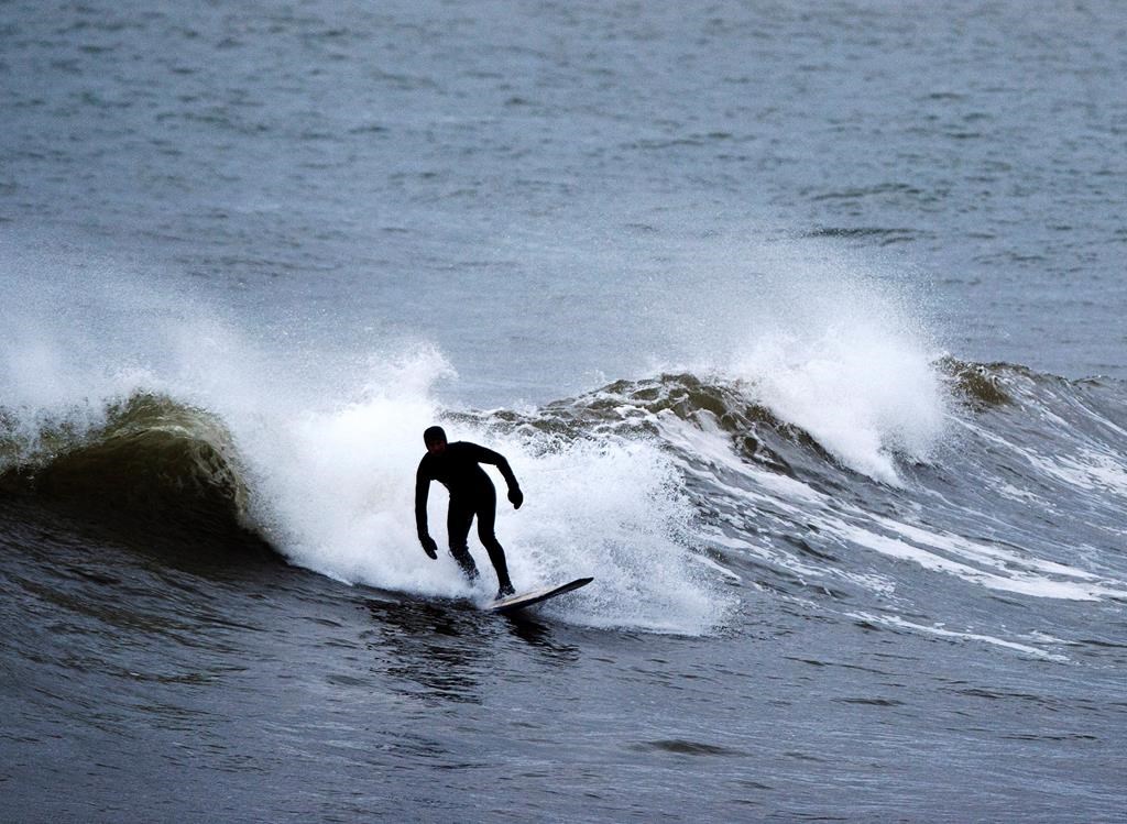 A surfer trides a wave in Cow Bay, N.S. on Wednesday, Nov. 28, 2018. Surfing is a year-round activity in Nova Scotia with great conditions and ample resources to accommodate all skill levels.