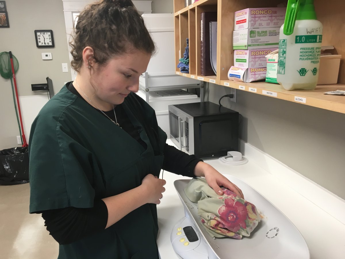 Hope for Wildlife helps record number of animals in 2018 Halifax Globalnews.ca