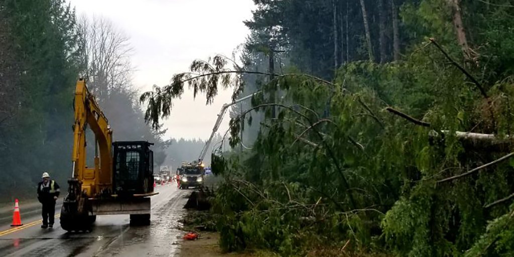 BC Hydro crews work to repair damage on Vancouver Island following the major windstorm in December 2018. A new wind warning in the region has brought several other trees down on wires and buildings Saturday.