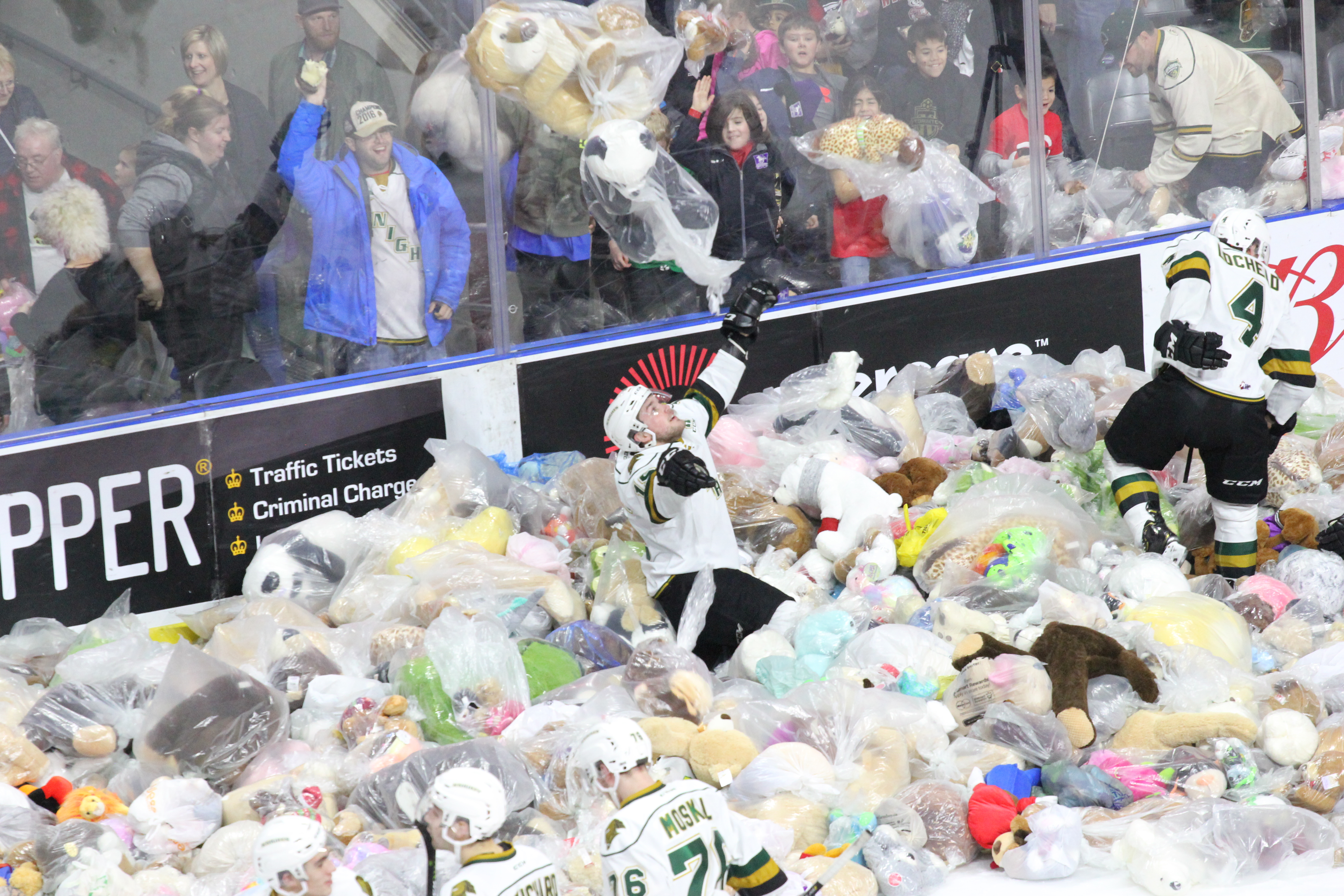 Teddy bear hot sale toss 2018