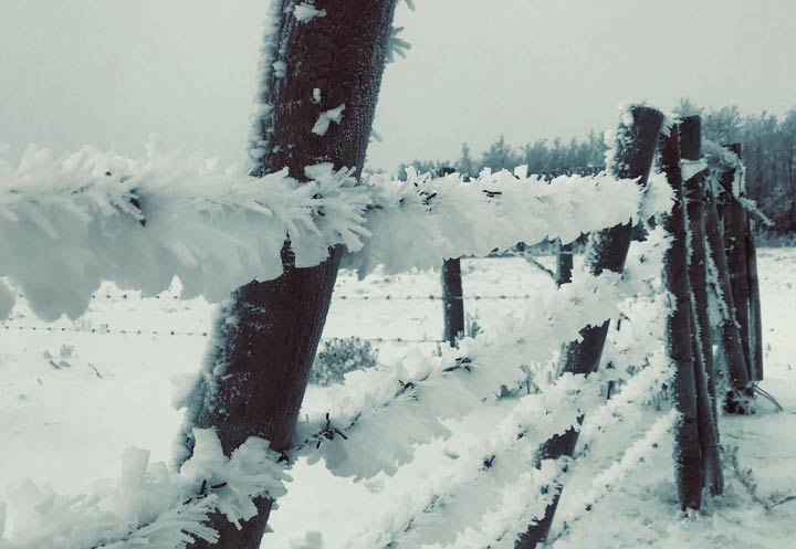 Jennifer Enns took the December 7 Your Saskatchewan photo near Borden.