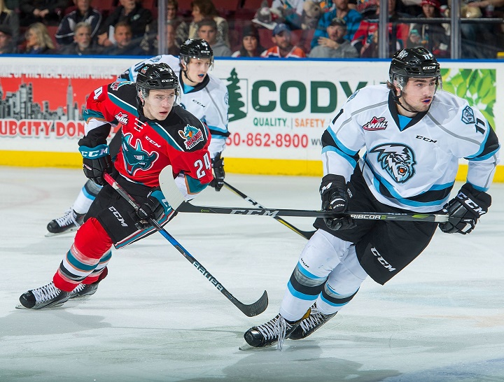  Kyle Topping of the Kelowna Rockets, left, and Jeff De Wit of the Kootenay Ice search for the puck during WHL action on December 2, 2017. Tonight, the Rockets and Ice will meet in Cranbrook.