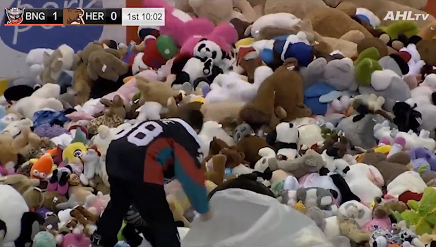 MUST WATCH: The Hershey Bears Teddy Bear Toss Broke The Teddy Bear Toss  Record With Nearly 35k Stuffed Animals Flying Onto The Ice