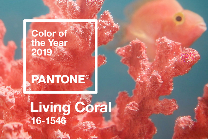 Living Coral is Pantone's 2019 colour of the year. 