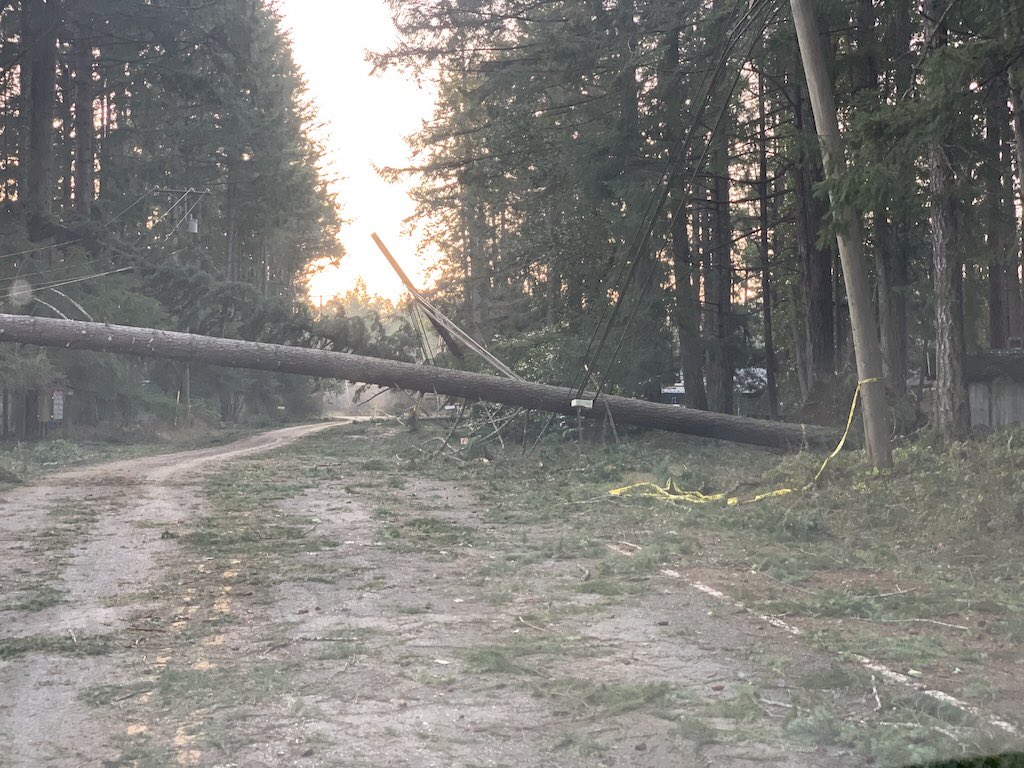 Downed trees and power lines on Saltspring Island.