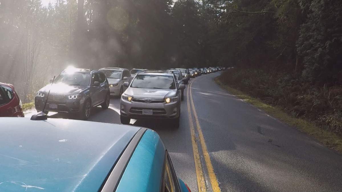 Some drivers waited more than 90 minutes to get up to the top of Mount Seymour.