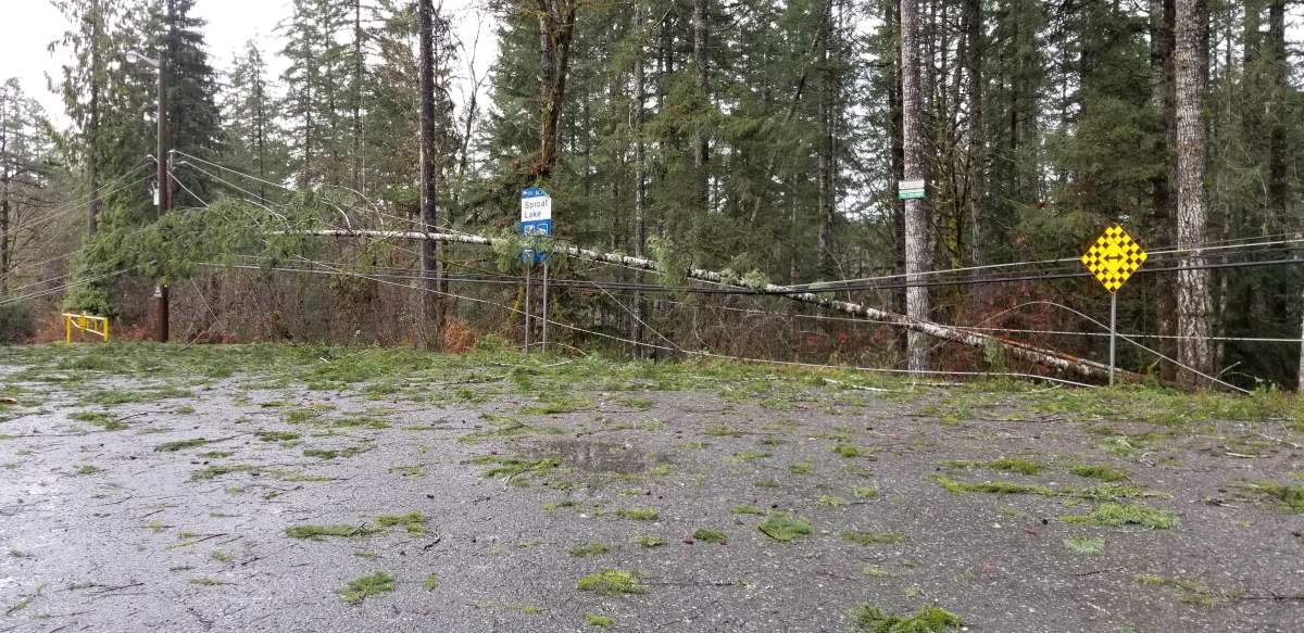 Damage at Sproat Lake, Credit: Allen Felker