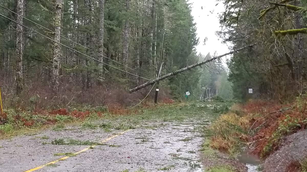 Damage at Sproat Lake, Credit: Allan Felker