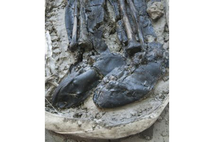 Museum of London Archaeology