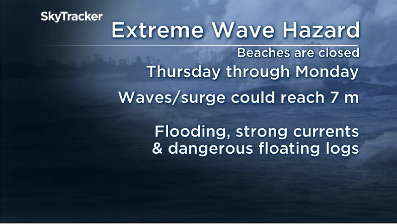 Powerful storm to hit Vancouver, almost exactly 12 years after winds felled Stanley Park’s trees - image