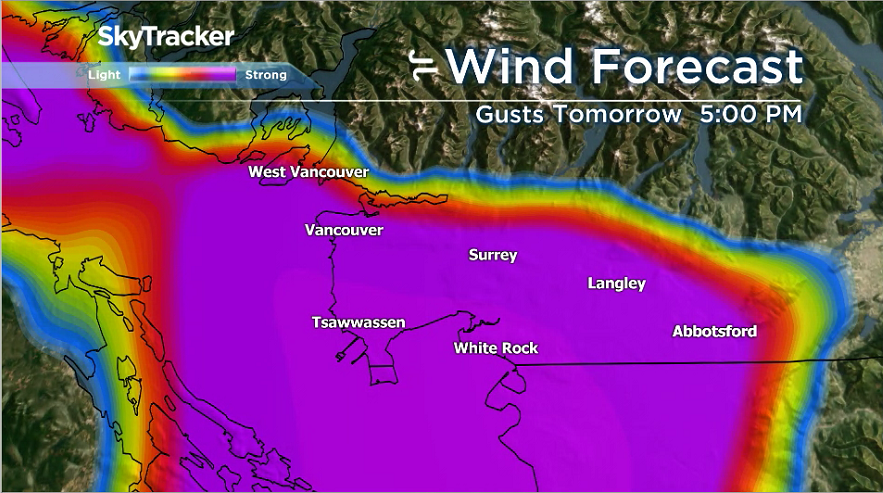 Powerful storm to hit Vancouver, almost exactly 12 years after winds felled Stanley Park’s trees - image