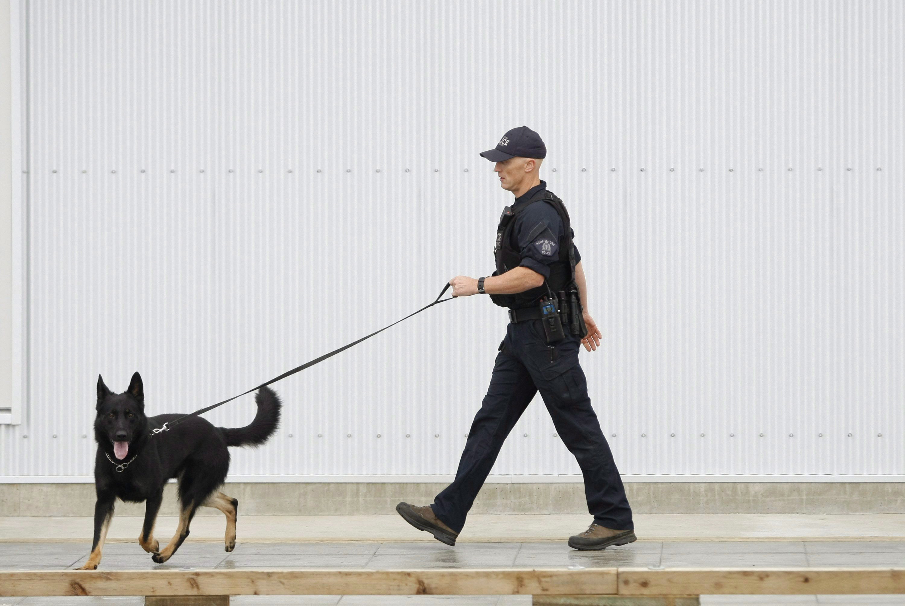Полицейский идет с собакой