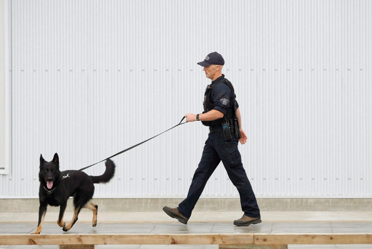 FILE PHOTO: An RCMP dog handler conducts a sweep in preparation for Royal Visit in Victoria, B.C., Sunday, Sept 25, 2016.