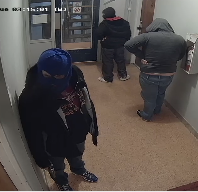 Kingston police investigating after shots fired at north end apartment