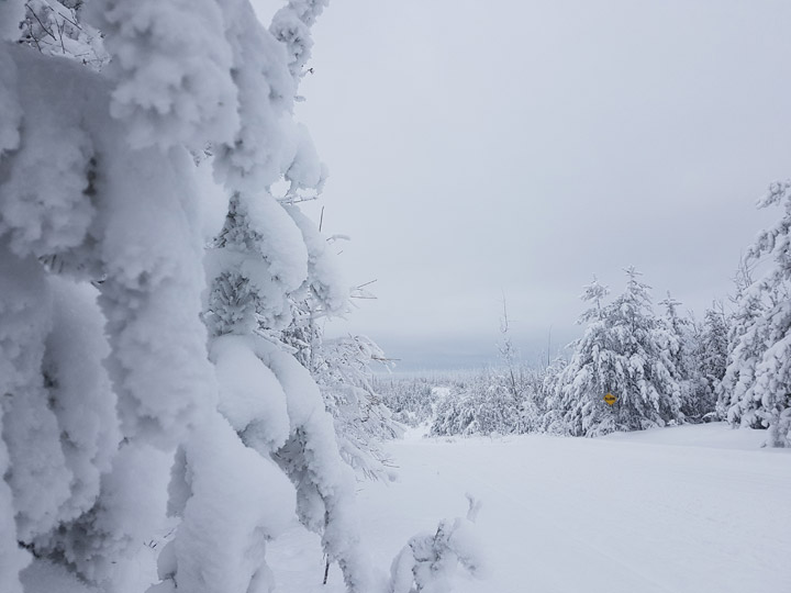 The snowy Jan. 10 Your Saskatchewan photo was taken in Hudson Bay by Sherry Kostiuk.