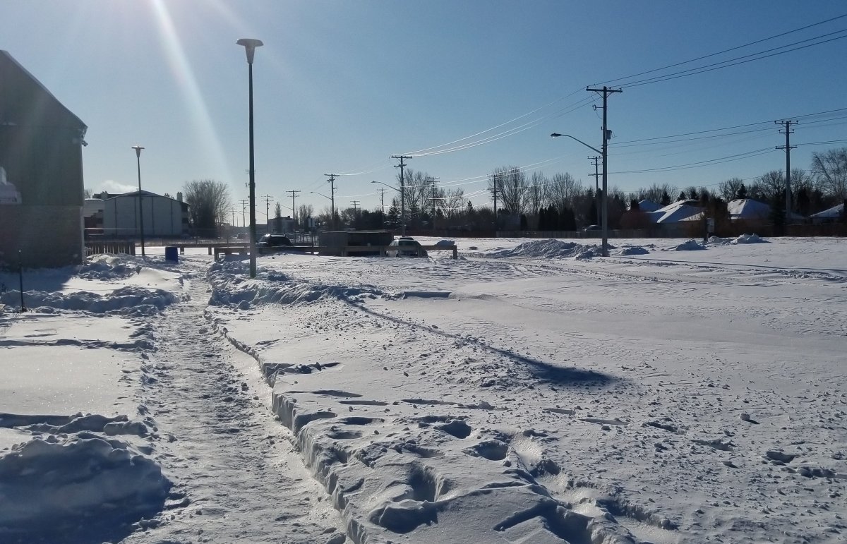 Lisa Cohen says the lack of snow clearing on her Manitoba Housing property sidewalks makes things difficult for residents.