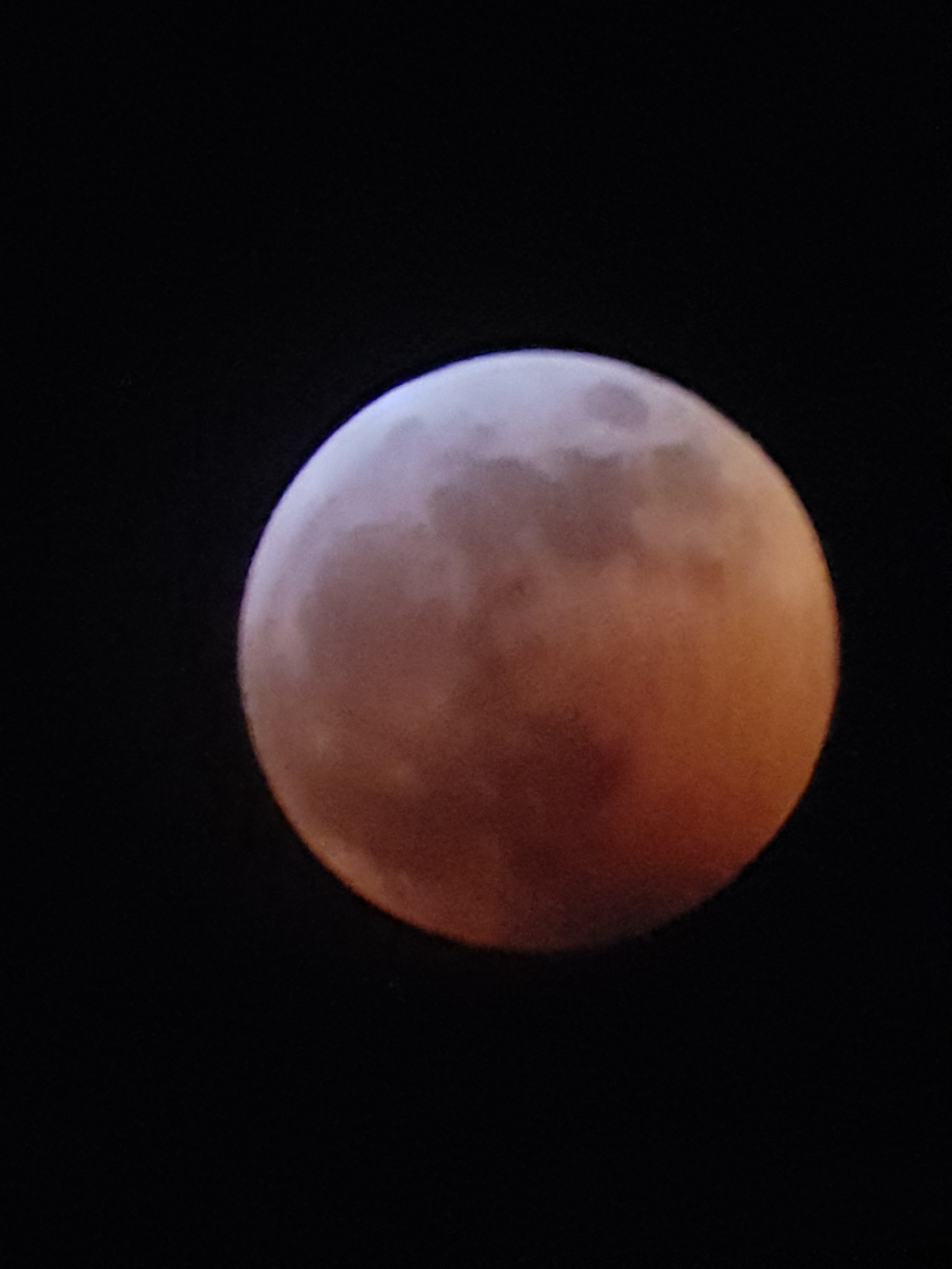 Gallery: Super blood wolf moon eclipse across the Okanagan