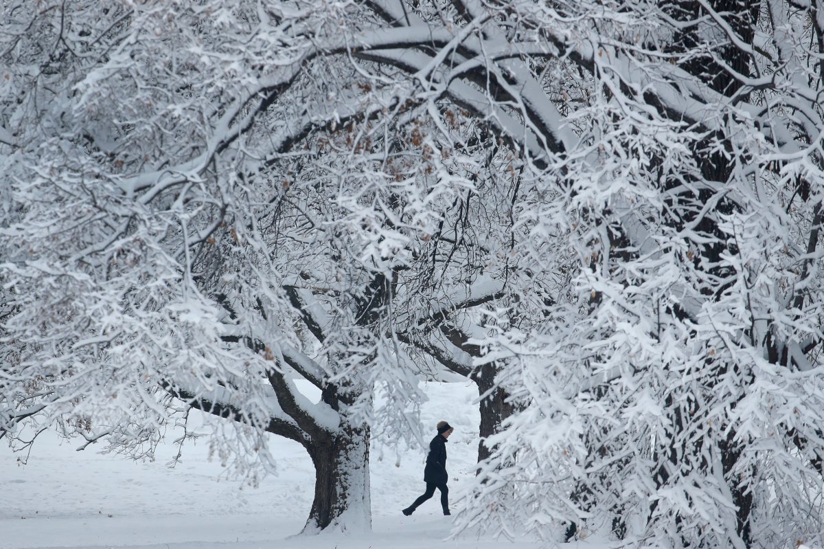 A person walks past snow-covered trees in Loose Park, Sunday, Jan. 13, 2019, in the aftermath of a winter storm that dropped more than eight inches of snow in the Kansas City, Mo., area. On Friday, the Simcoe Muskoka District Health Unit issued a warning to residents to expect extreme cold conditions across the region this weekend.