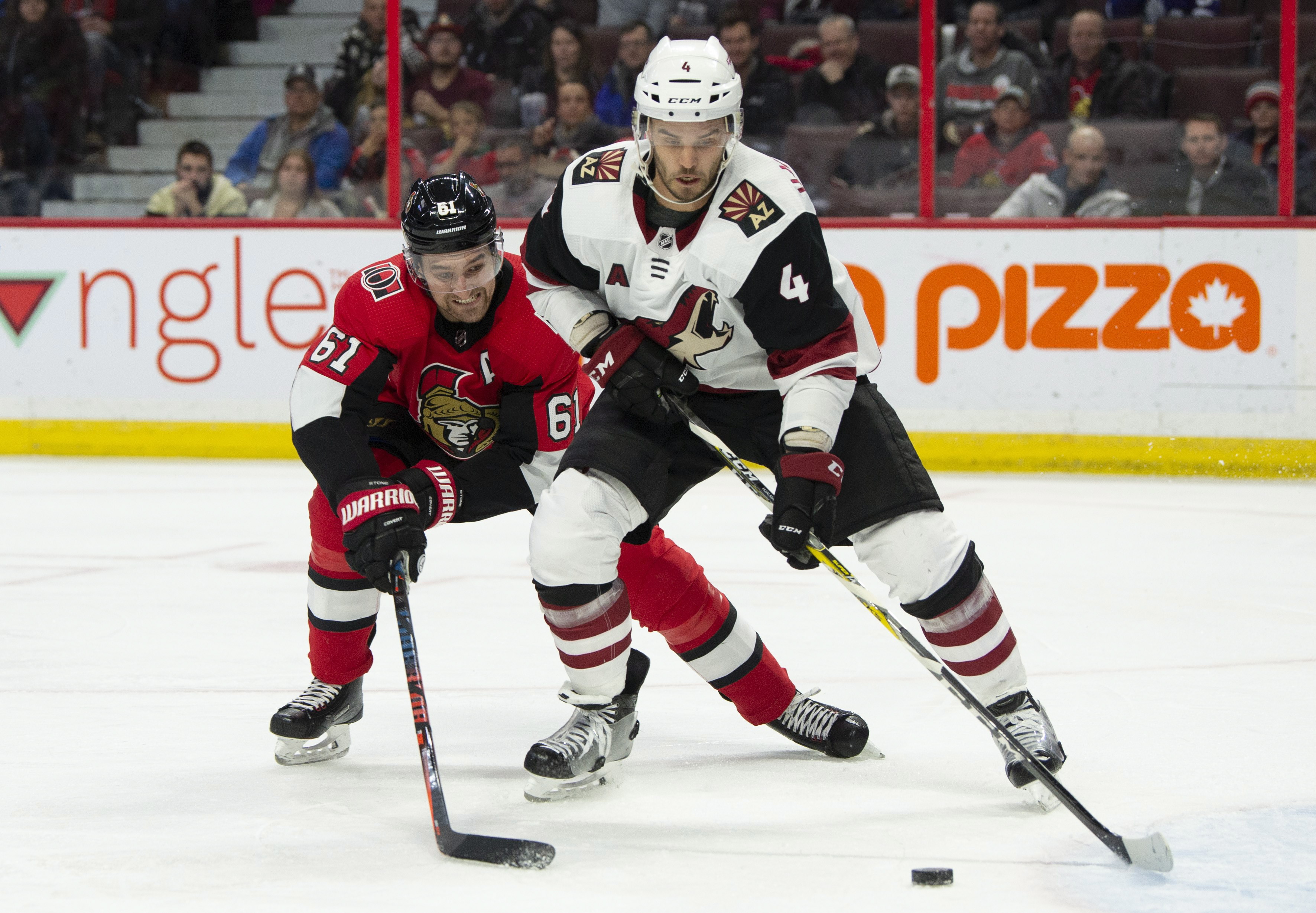 Senators Lose To Coyotes 3-2, Enter NHL All-star Break On Down Note ...