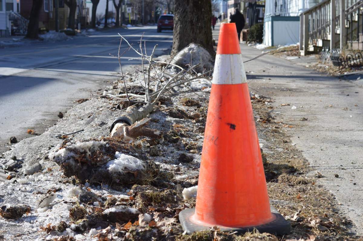 Police say at 4:40 a.m. they received a report of a car crashing into a tree and a fire hydrant in the 6100 block of North Street in Halifax.