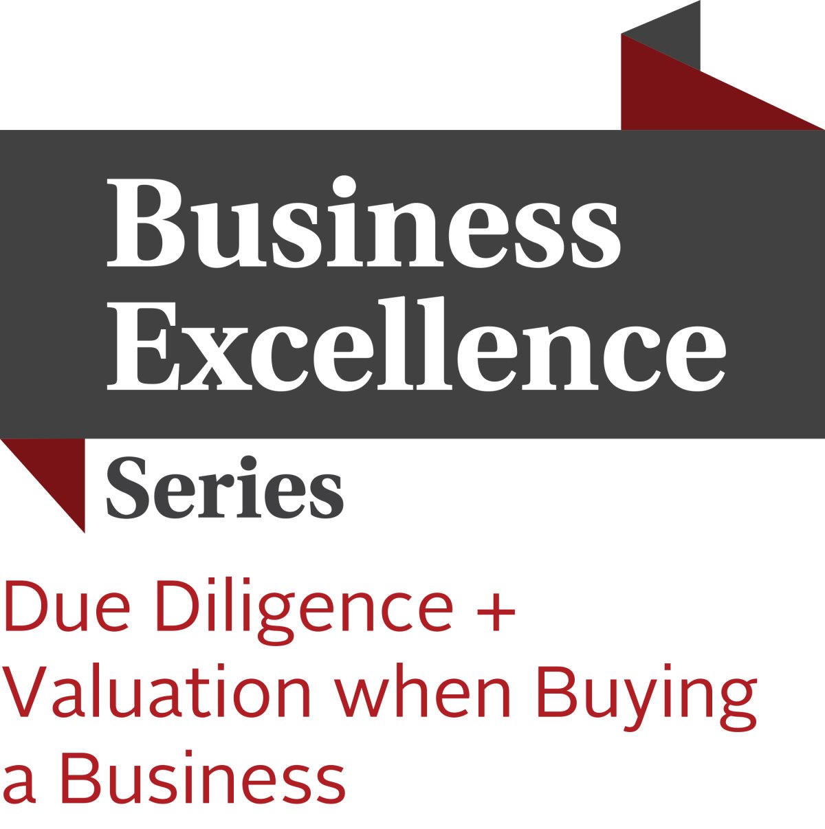 Business Excellence Series: Due Diligence & Valuation when Buying a Business - image