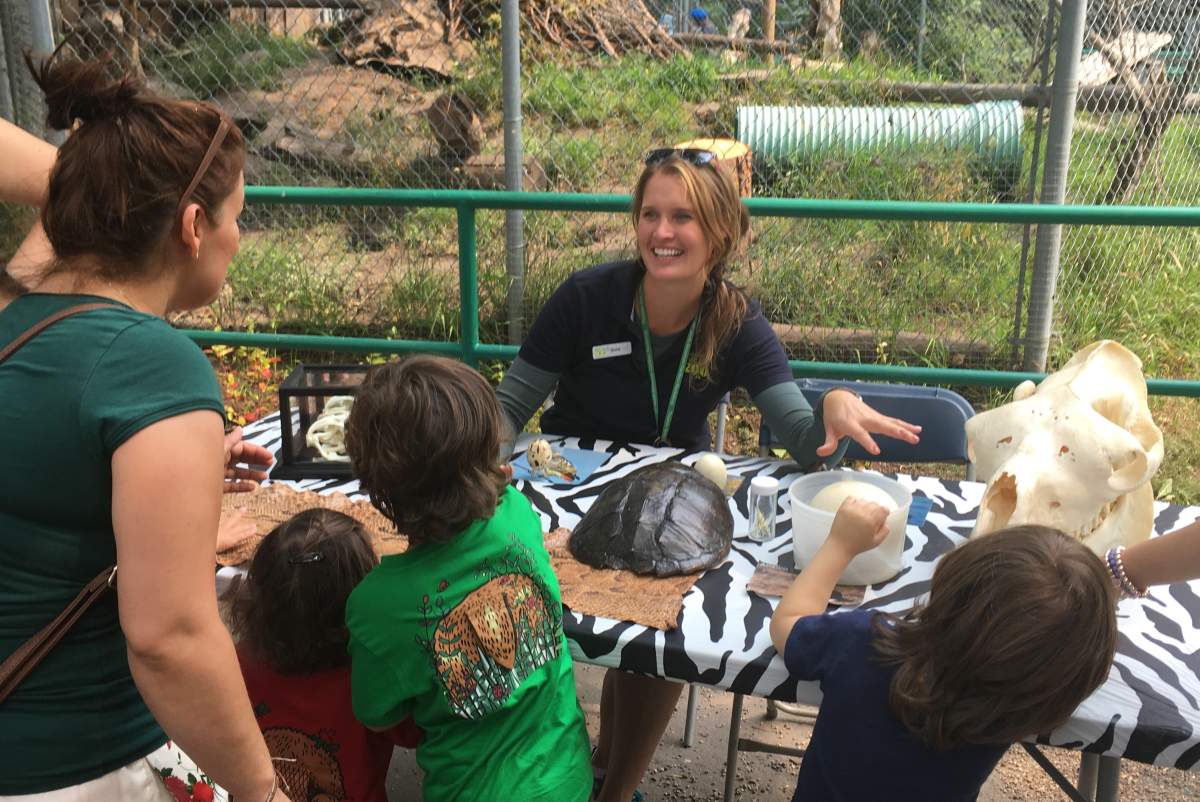 Mother’s Day at the Edmonton Valley Zoo - image