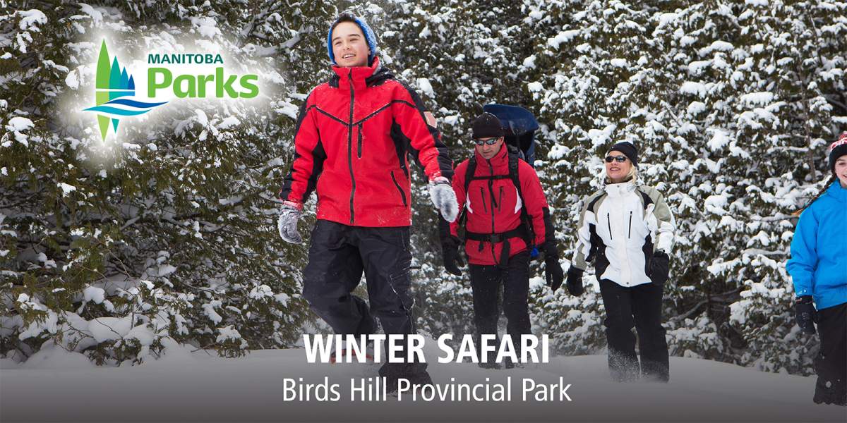 Winter Safari Event - image