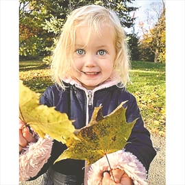 A child who was struck by a vehicle in Burford has  been identified as 2-year-old Foster Butler.