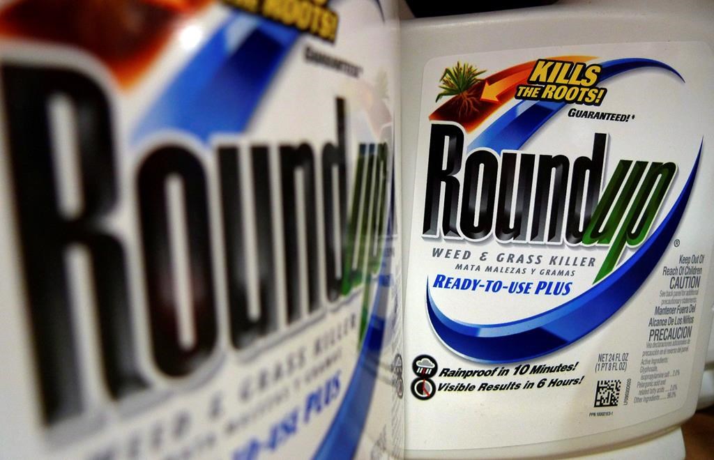 Bottles of Roundup herbicide, a product of Monsanto, are displayed on a store shelf in St. Louis on June 28, 2011.