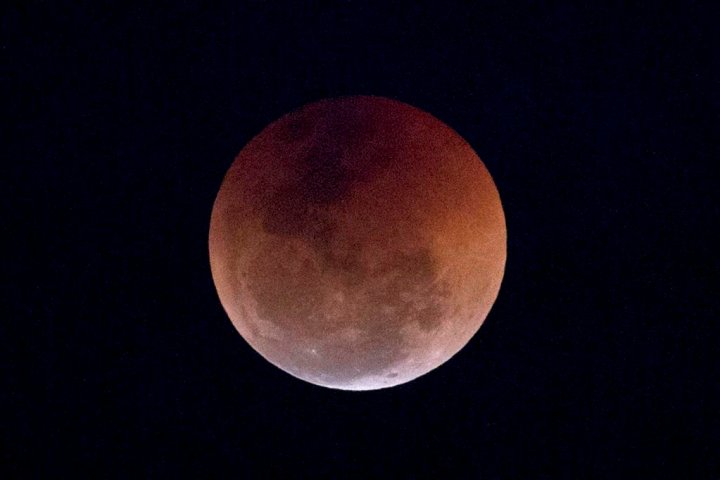 How to watch the super flower blood moon lunar eclipse over Ontario