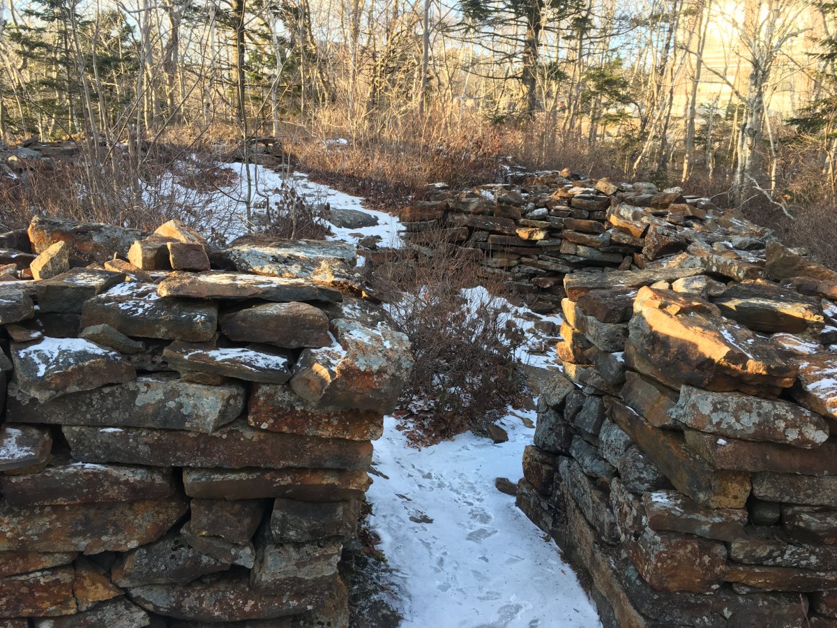 No one really knows the true purpose or age of the Bayers Lake Mystery Walls, seen here in Halifax on Tues. Jan. 22, 2018.