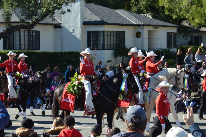 Calgary Stampede Showband clocks 15,000 steps in New Year’s Day Rose ...